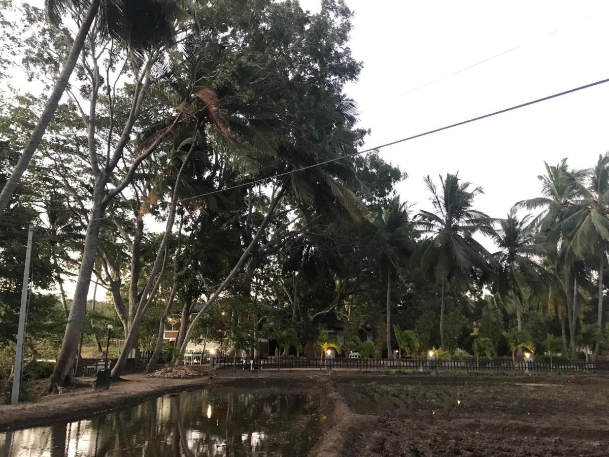 Sethway Village Minneriya Bagian luar foto