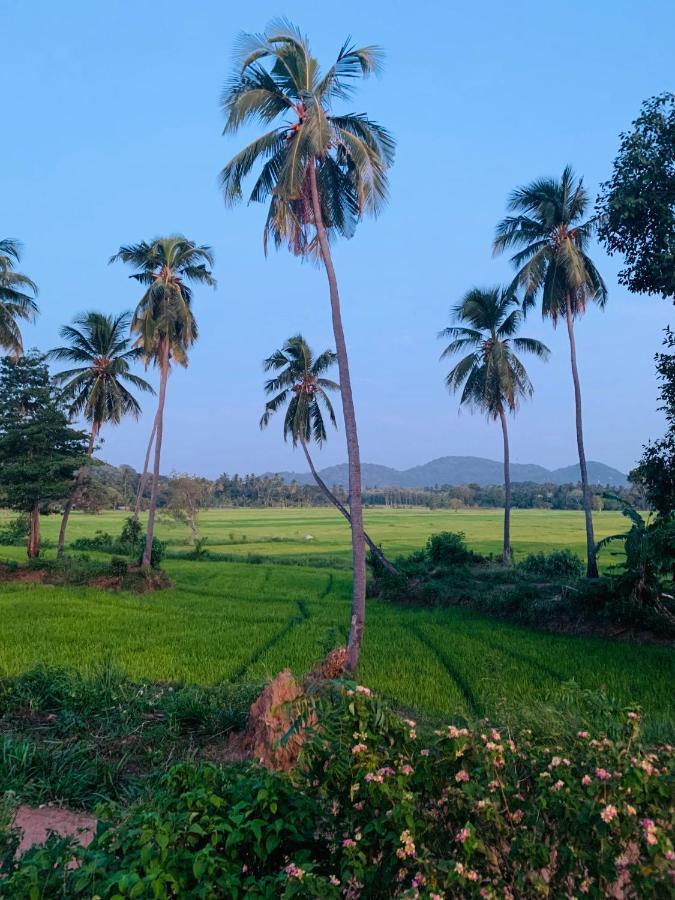 Sethway Village Minneriya Bagian luar foto